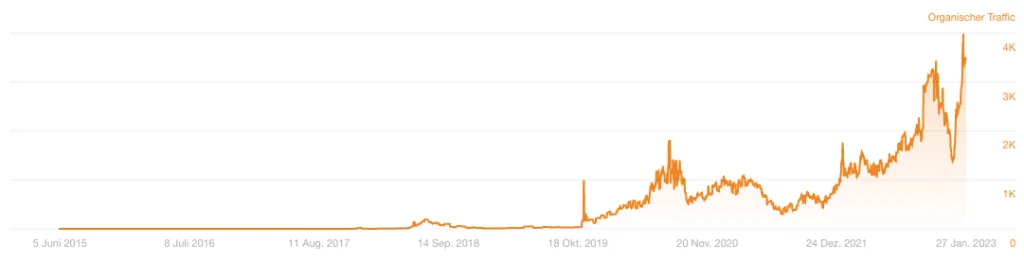 E-Commerce SEO , Optimierung des eigenen Onlineshops Shop Recovery